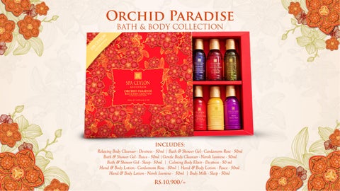 Orchid Paradise Festive 灯饰产品集 2025 第 19 页