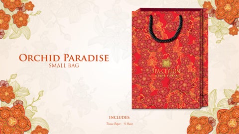 Orchid Paradise Festive 灯饰产品集 2025 第 24 页