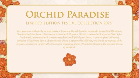 Orchid Paradise Festive 灯饰产品集 2025 第 2 页
