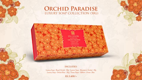 Orchid Paradise Festive 灯饰产品集 2025 第 3 页