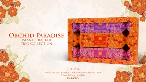 Orchid Paradise Festive 灯饰产品集 2025 第 4 页