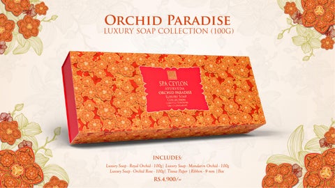 Orchid Paradise Festive 灯饰产品集 2025 第 5 页
