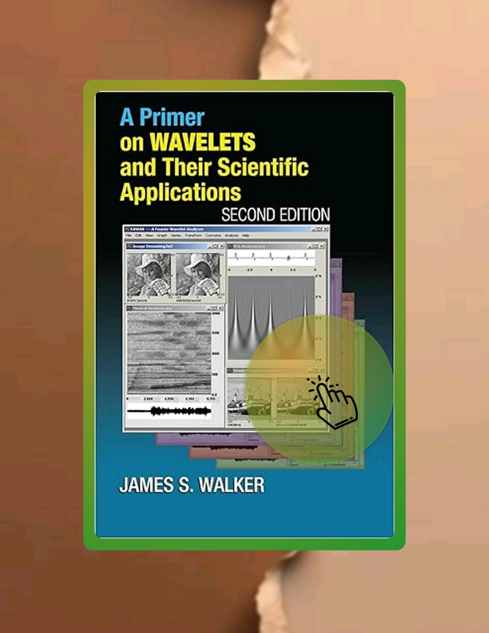 E-book A Primer on Wavelets and Their Scientific Applications (Studies ...