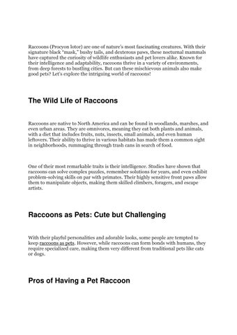 Raccoons: The Clever and Curious Masked Bandits