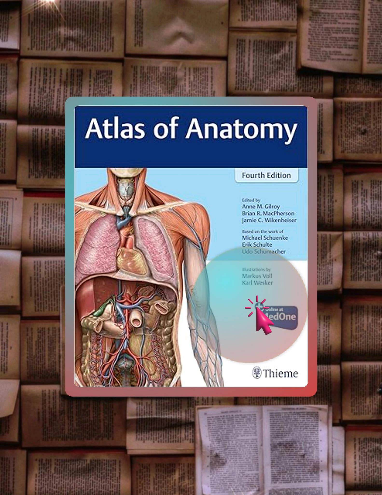 Ebook Version Atlas of Anatomy by Anne M Gilroy by aaliyahtorpjq - Issuu
