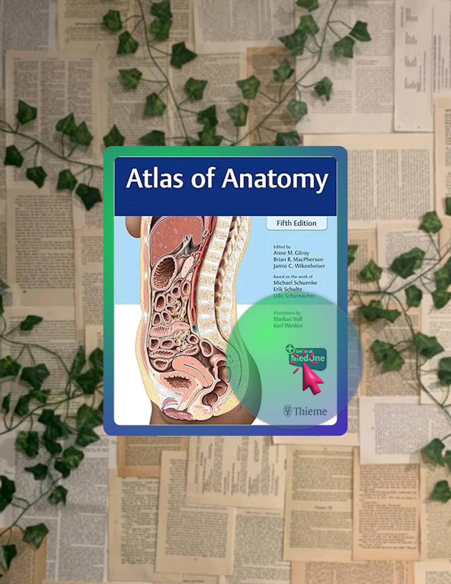 Grab Ebook Atlas of Anatomy by Anne M Gilroy by jadamaggioye - Issuu