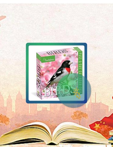 Fast Access Audubon Birds Page-A-Day® Calendar 2026: The World's Favorite Bird Calendar by Workman C