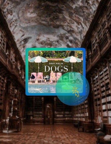 Digital PDF Gray Malin: Dogs: Photographs by Gray Malin