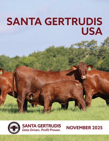 Newsletter November no bleed