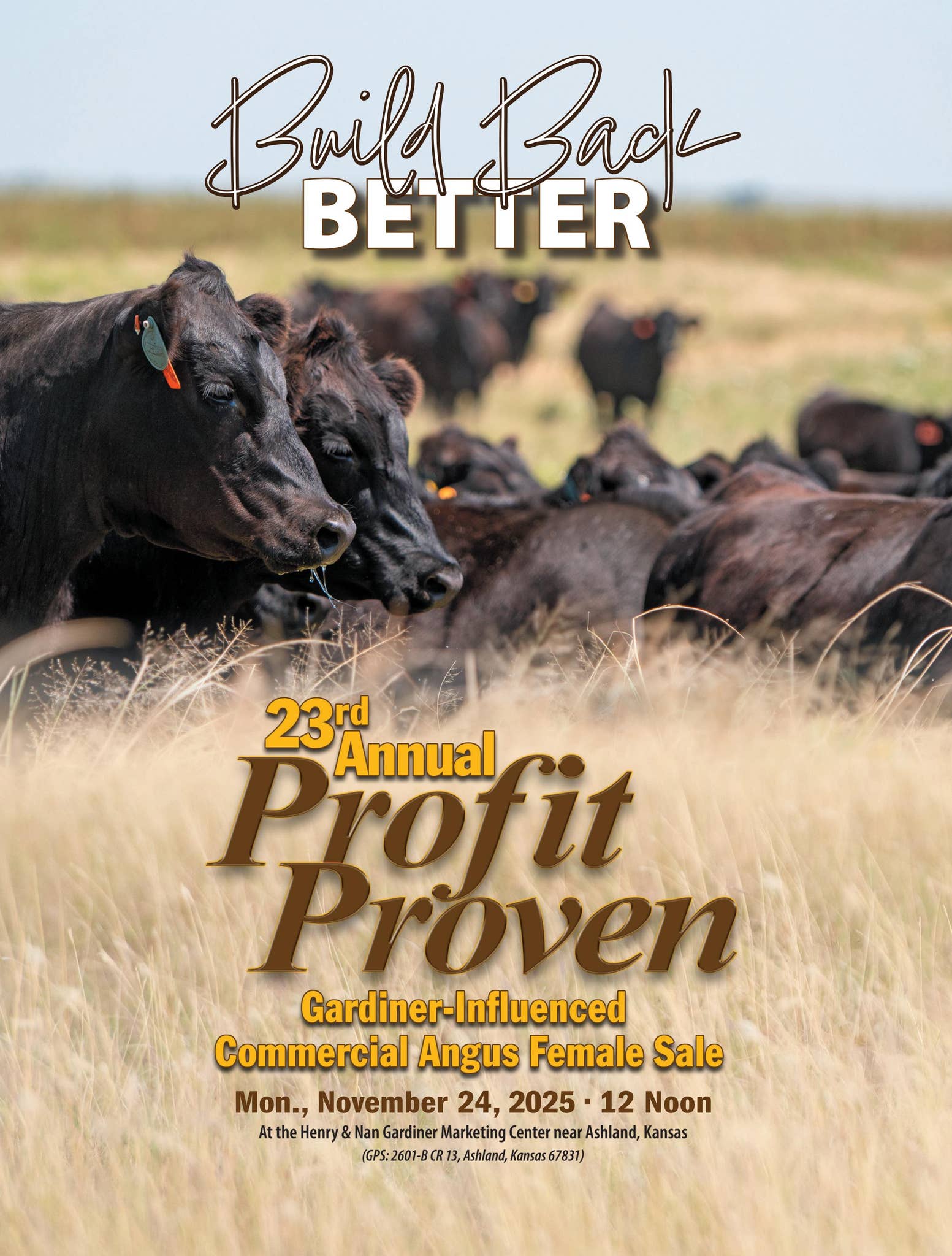 23rd Annual Profit Proven GAR-Influenced Comm'l Angus Female Sale by ...
