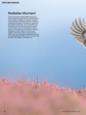 Ringfoto Magazin Ausgabe 06/2025 第 4 页