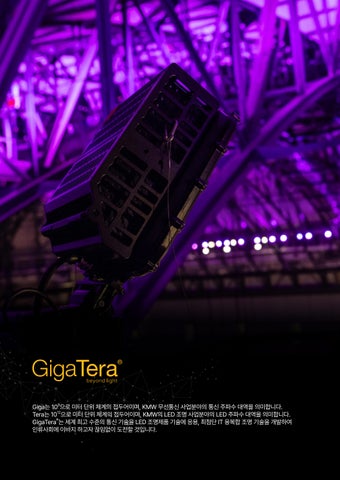 2025 GigaTera 灯饰目录 Optimizer KR 第 2 页