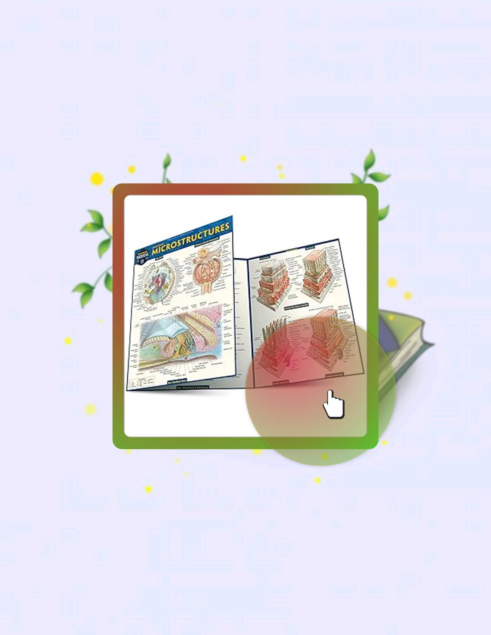 Ebook Version Anatomy Microstructures: a QuickStudy Laminated Reference ...
