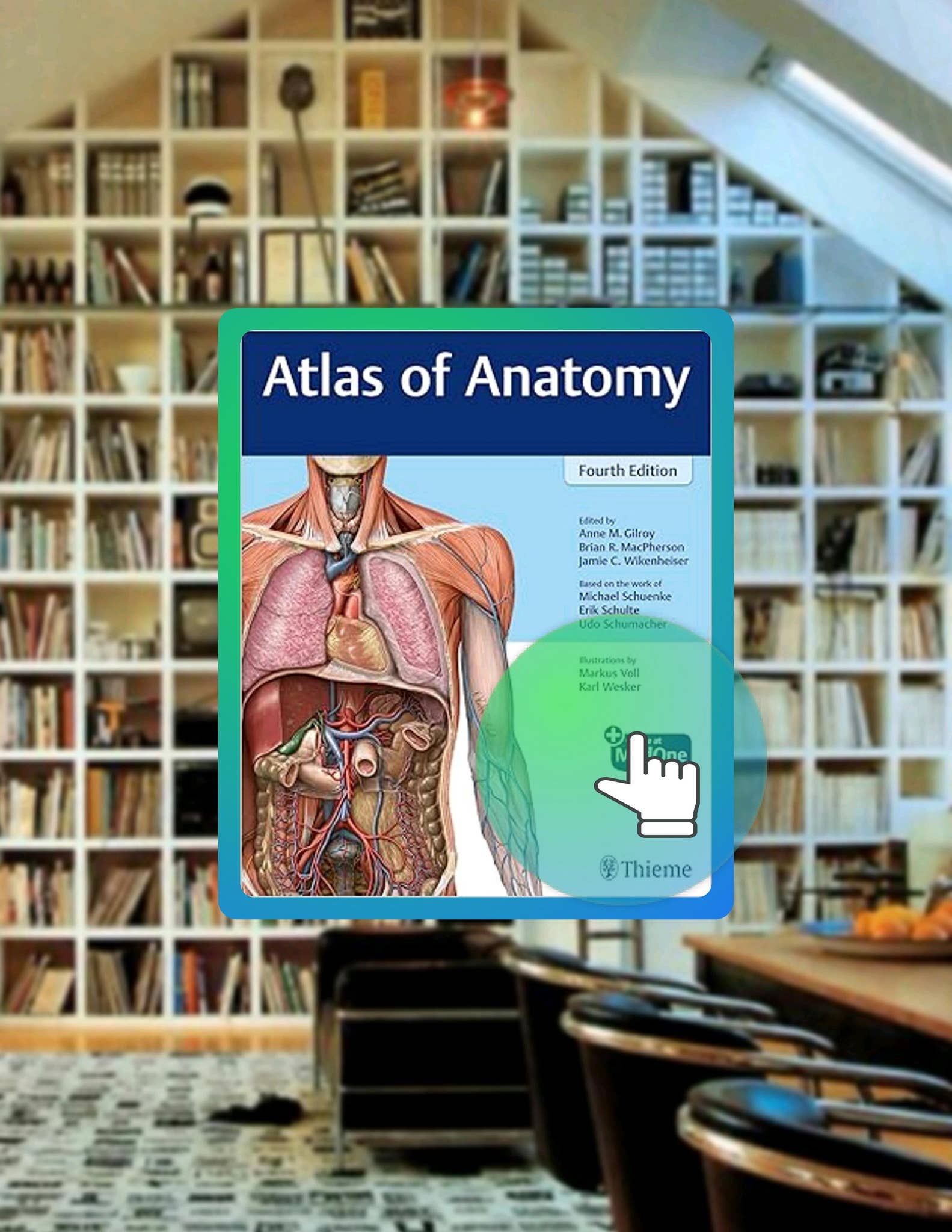 Quick Read Atlas of Anatomy by Anne M Gilroy by beermdxd - Issuu