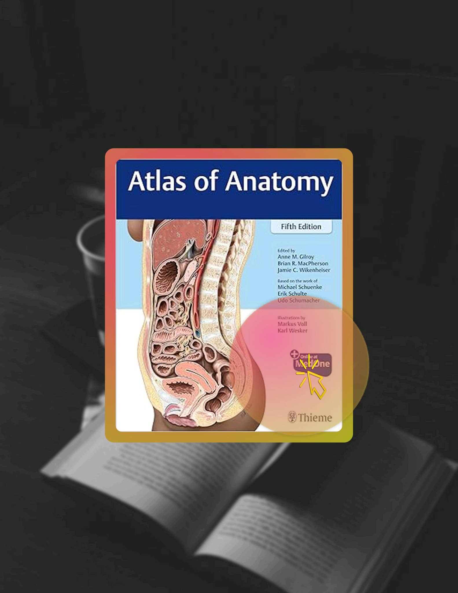 Read & Learn Atlas of Anatomy by Anne M Gilroy by beermdxd - Issuu