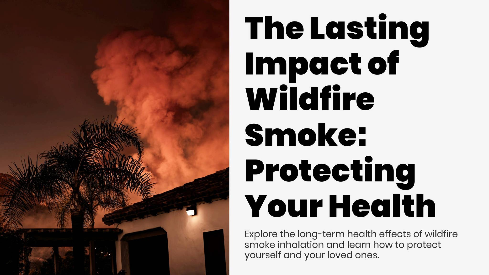 Long Term Health Effects of Wildfire Smoke Inhalation on Humans by Top ...