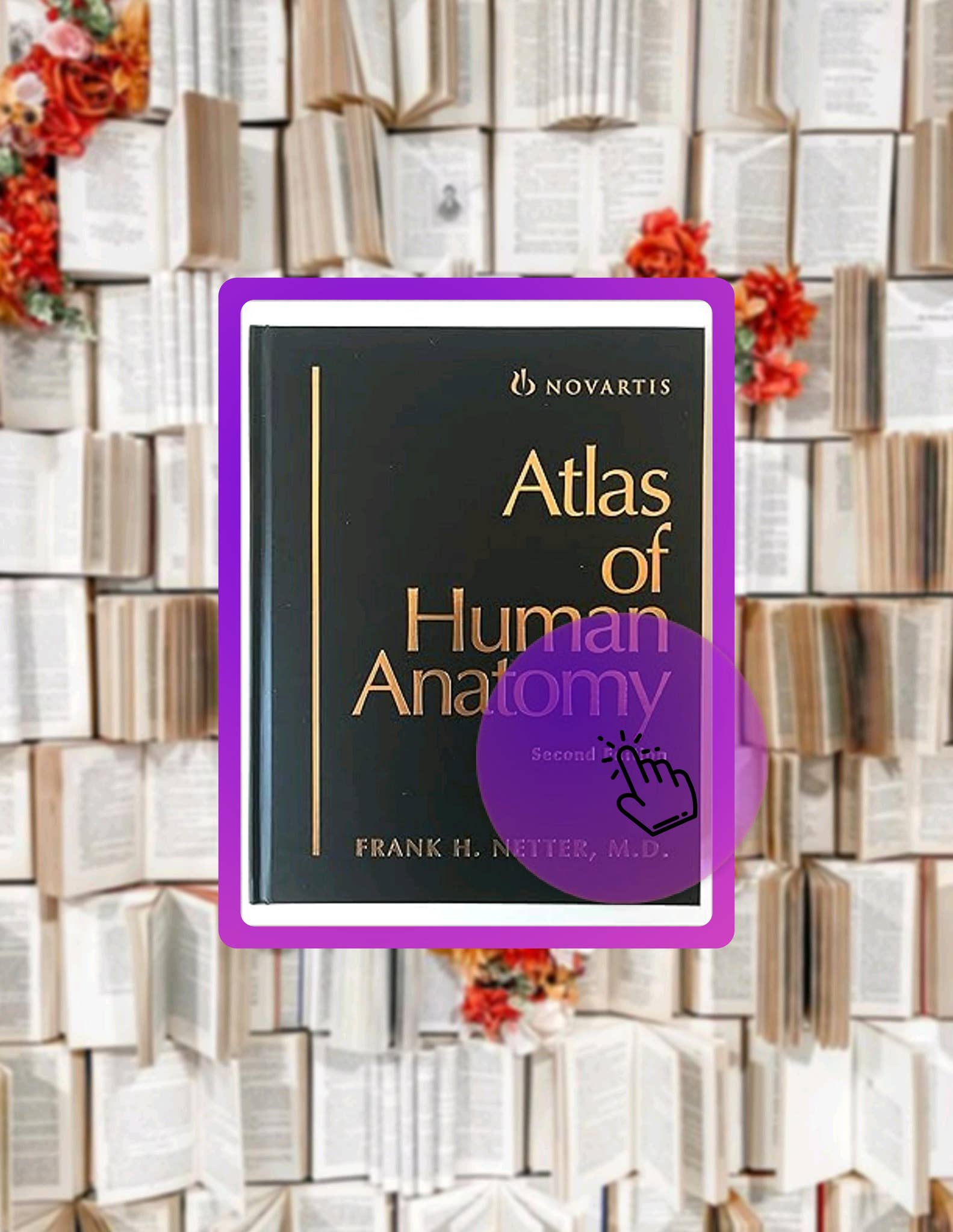 EBOOK Atlas of Human Anatomy by Frank H. Netter by missourischneiderok ...