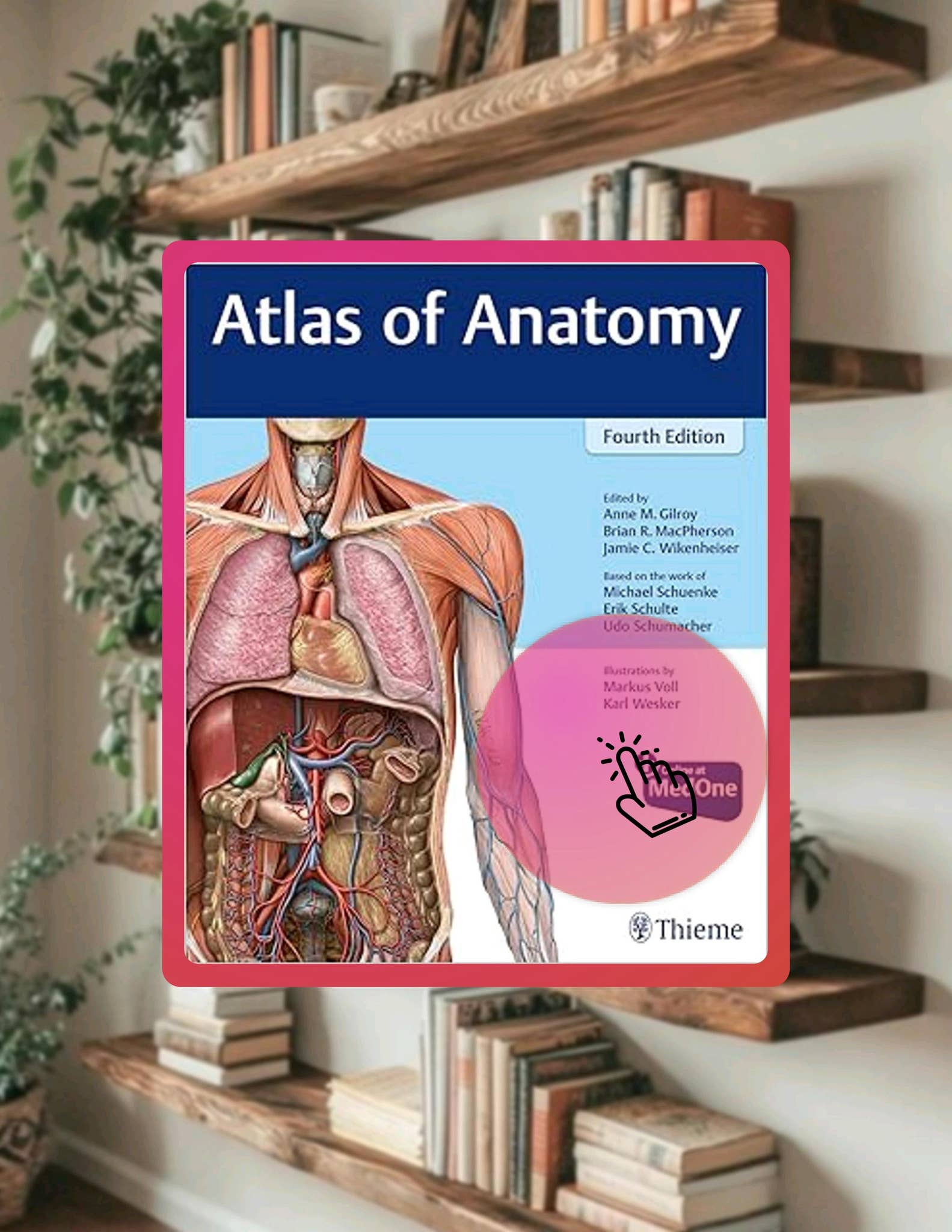 Download Ebook Atlas of Anatomy by Anne M Gilroy by abbigaillakinqs - Issuu