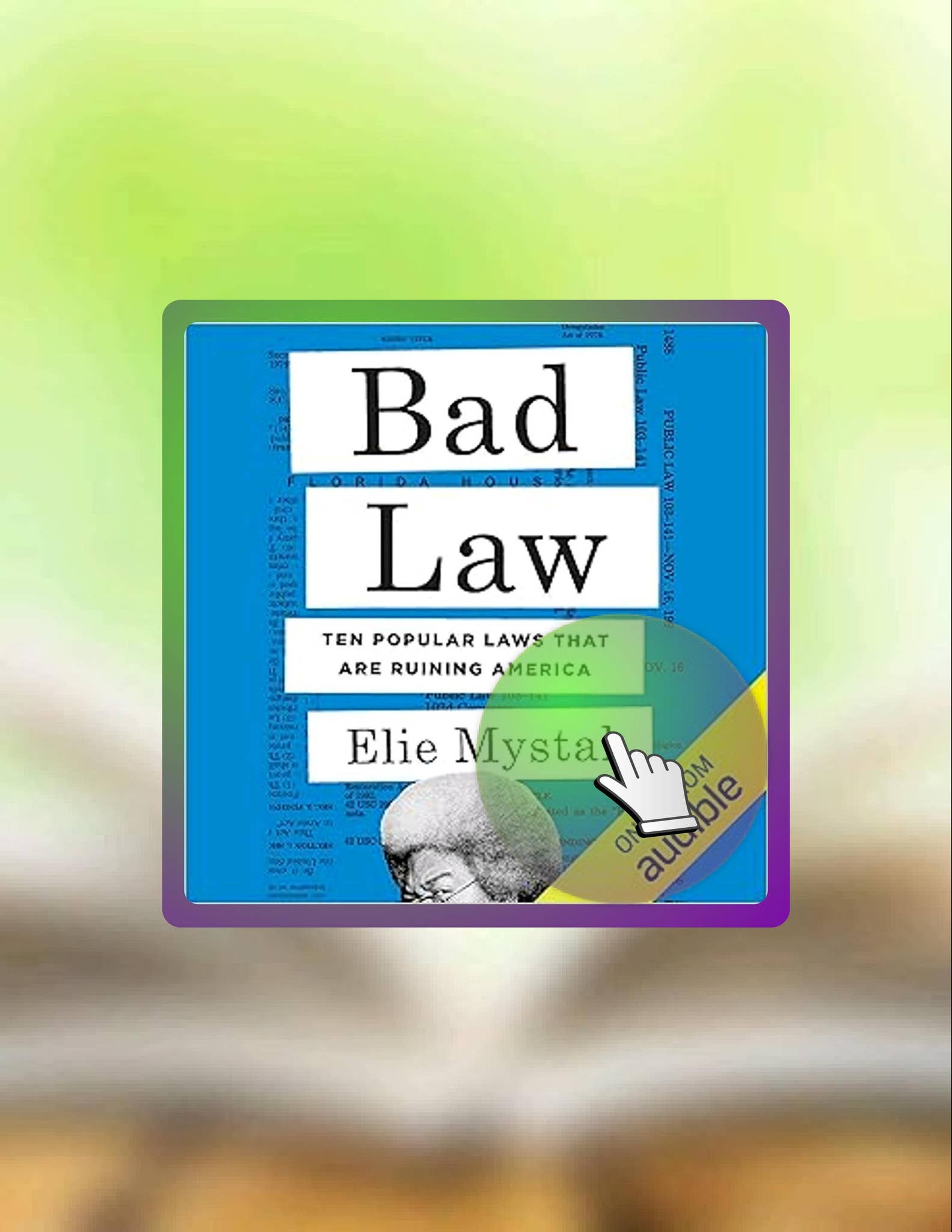 E-book Bad Law: Ten Popular Laws That Are Ruining America by Elie ...