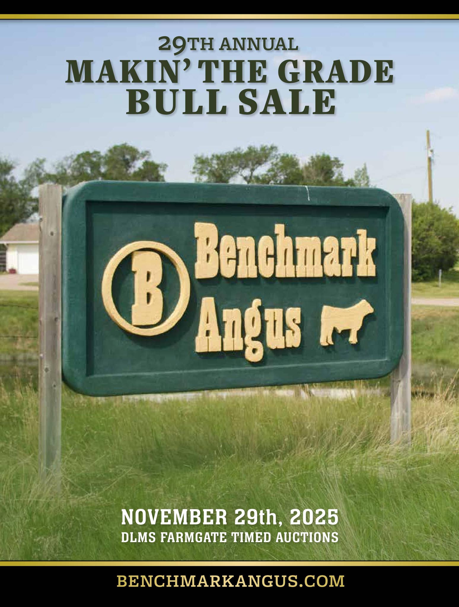 2025 Benchmark Making the Grade Bull Sale by Canadian Angus Association ...