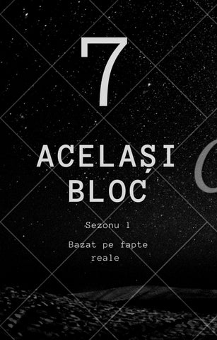 ACELAȘI BLOC ETAJUL 7