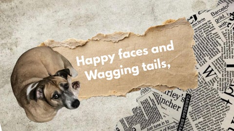 The light at the end of the tunnel_20251108_003326_0000