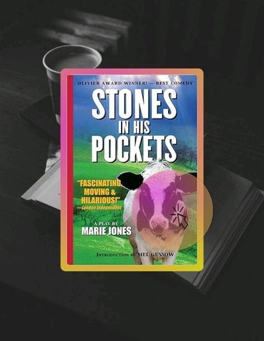 Ebook Version Stones in His Pockets (Applause Books) by Marie Jones