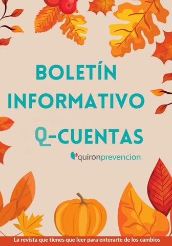 Q-CUENTAS NOVIEMBRE 2025