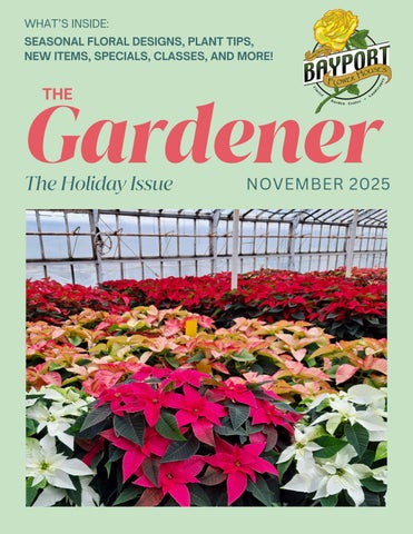 Bayport Flower Houses Newsletter - November 2025