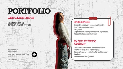 portfolio resumido