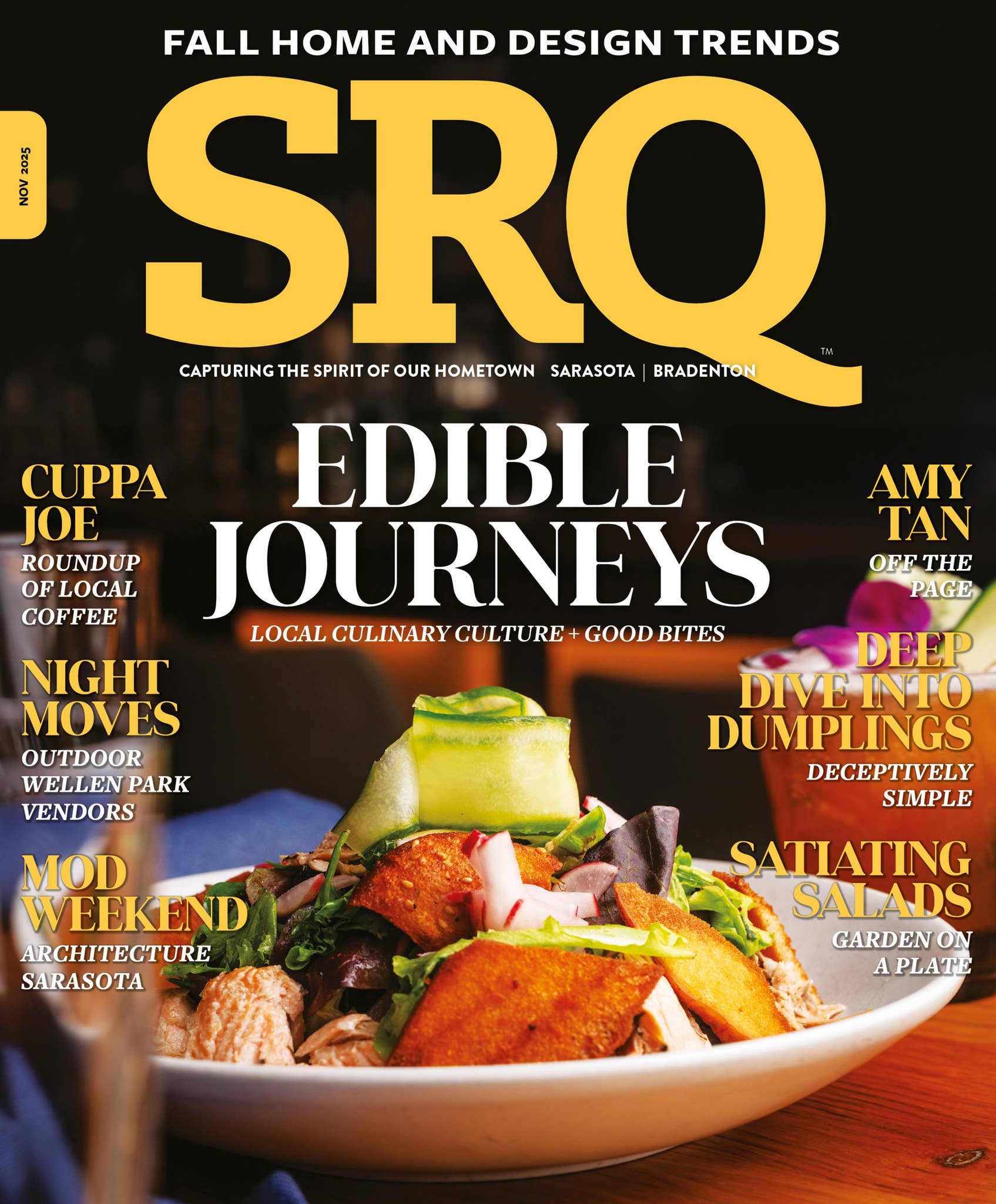 SRQ Magazine | November 2025, Top Doctors by SRQ MEDIA - Issuu, image size:1695x2048