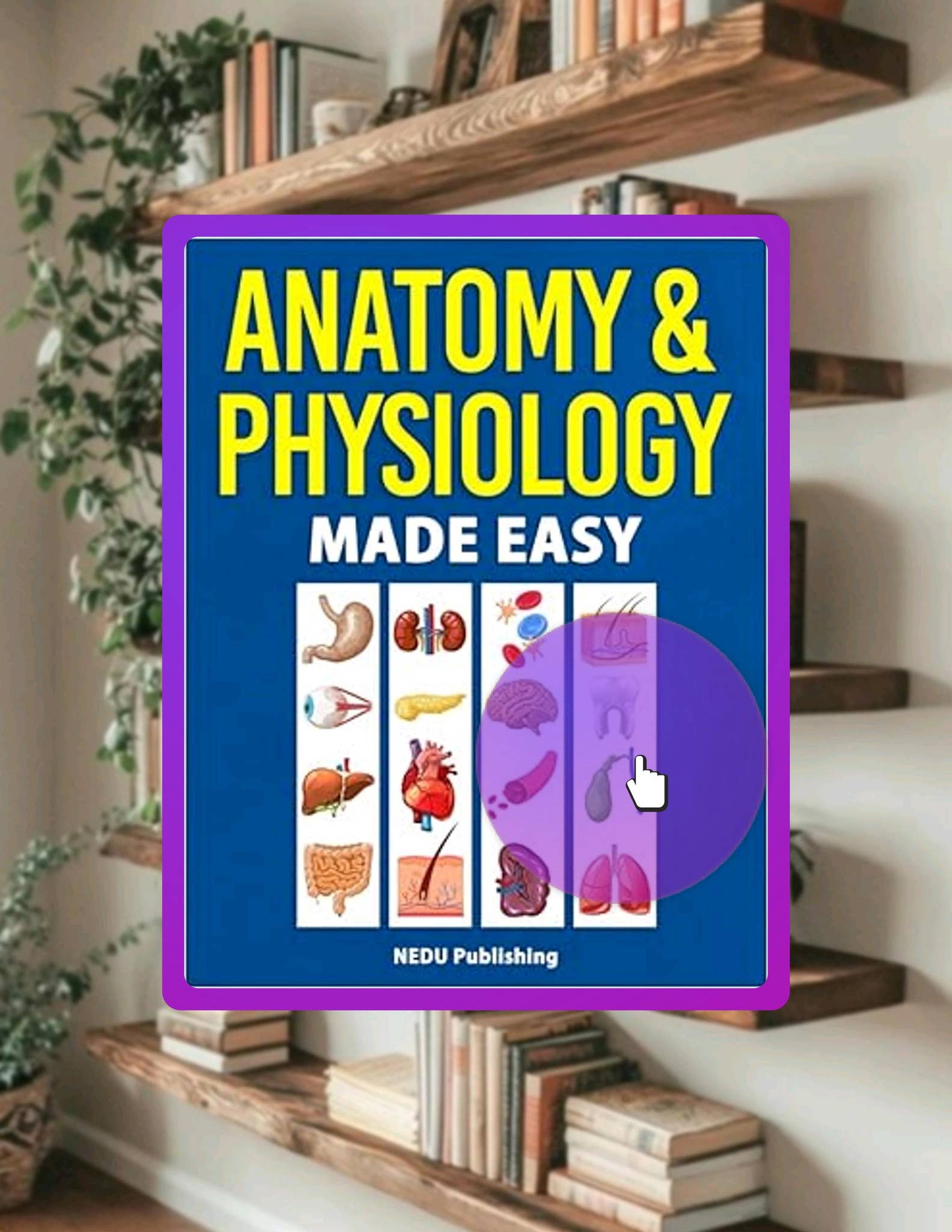 Quick Read Anatomy &amp; Physiology Made Easy: An Illustrated Study Guide for Students To Easily ...