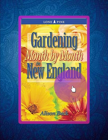 Quick Read Gardening Month by Month in New England by Alison Beck