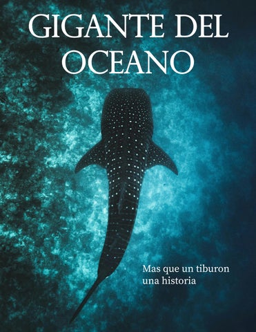 Tiburon ballena iprecion 1