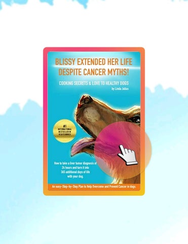 Ebook BLISSY EXTENDED HER LIFE DESPITE CANCER MYTHS!: How to take a liver tumor diagnosis of 24 hour