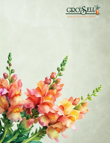 Gro 'n Sell 2026 Catalog