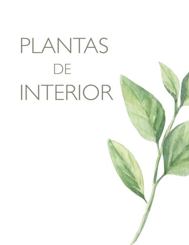 Folleto de plantas (PIA)