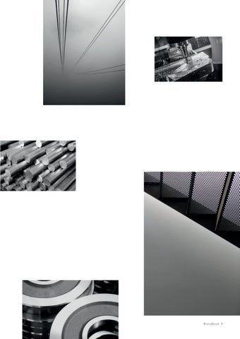 The Brandbook 第 5 页
