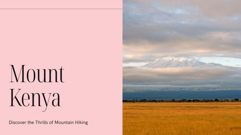 Discover the Thrills of Mountain Hiking with Go Mount Kenya Expendation