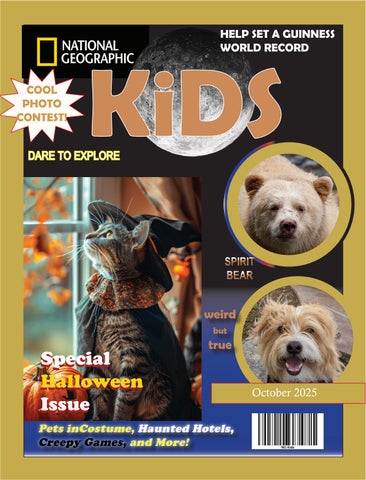 ChavezA_IND_P4_Magazine