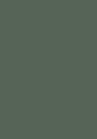 CATALOGO PERGOLE 2025 BIZZOTTO HOBBY&LEGNO 第 2 页