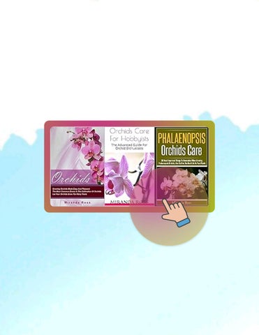 PDF Orchids Care Bundle 3 in 1, XMAS EDITION: Orchids + Phalaenopsis Orchids Care + Orchids Care For