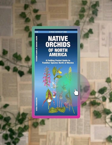 EBOOK Native Orchids of North America (Nature Observation North America) by Jill Kavanagh Waterford 