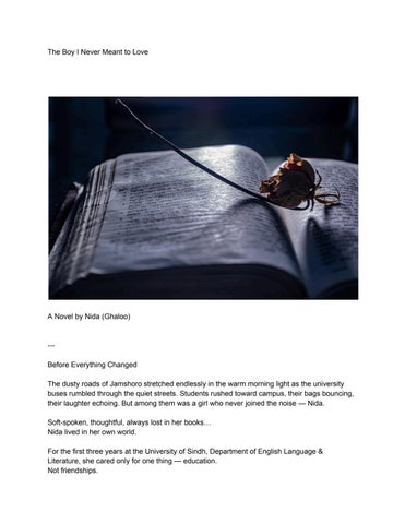 The Boy I Never Meant To Love 