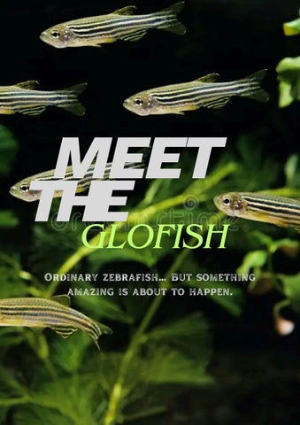 Earth and Life Glofish