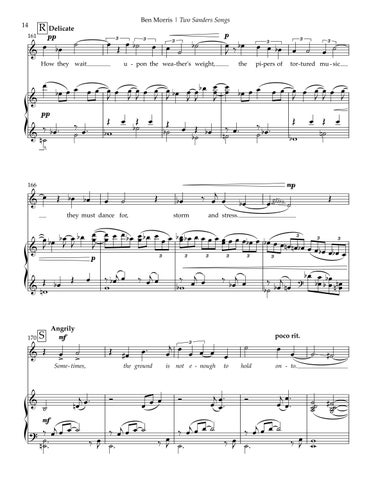 Two Sanders Songs 第 17 页
