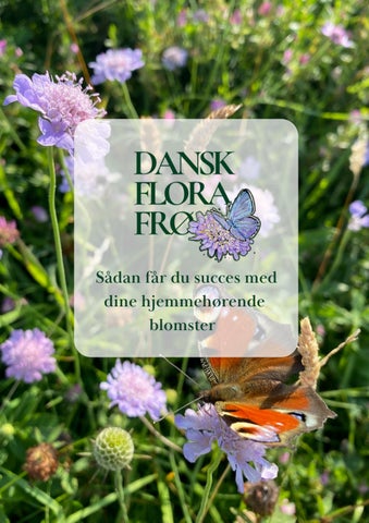 Guide:Få succes med hjemmehørende frø 