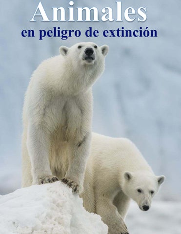 Animales en peligro de extinción