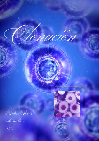 Copy of Clonación