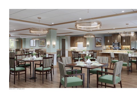 Senior Living 灯饰型录 第 11 页